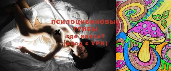 крисы Алексин
