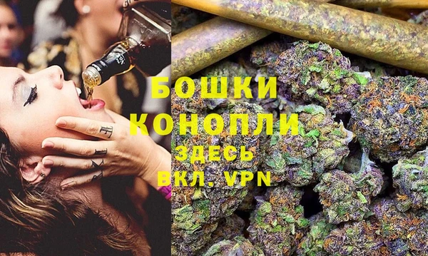 крисы Алексин